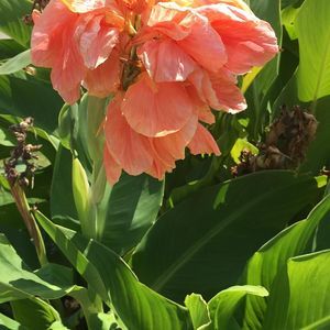 Meet your Posher, Miriam